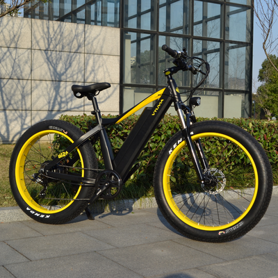 How Fast Does a 750W Electric Bike Go and What Are the Differences Between Models?