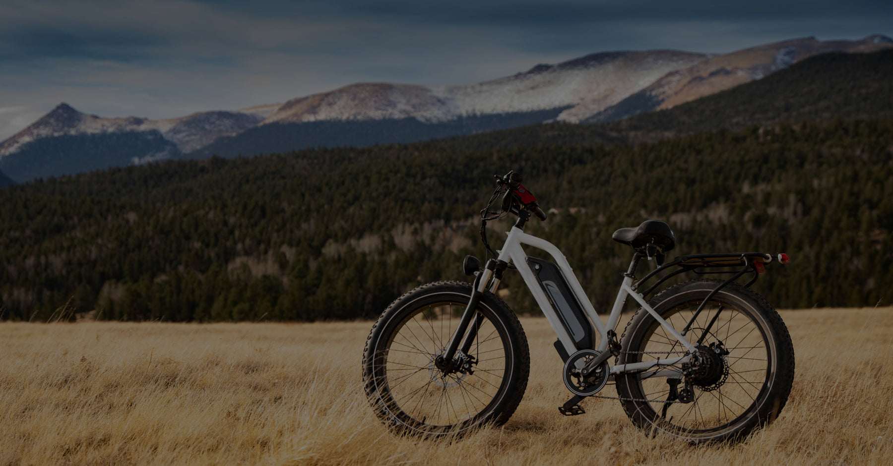 Electric Bike and Scooter Online Store | Best Electric City Rides